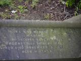image of grave number 807526